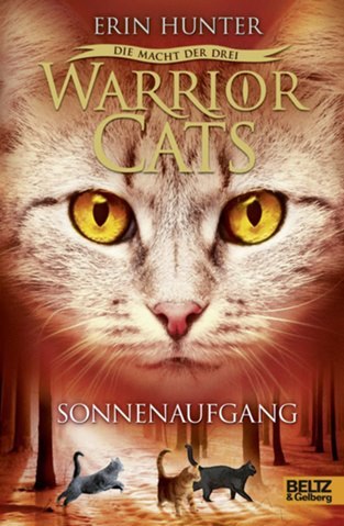 Warrior Cat Posters Diamond Painting - Orange / Full Square