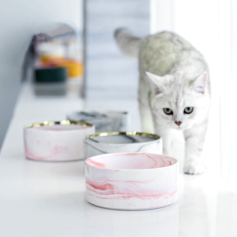 Water Bowls for Cats - Cat Bowls