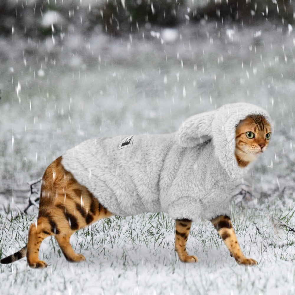 Winter Coat Cat Clothes - Gray / S - Clothes for cats