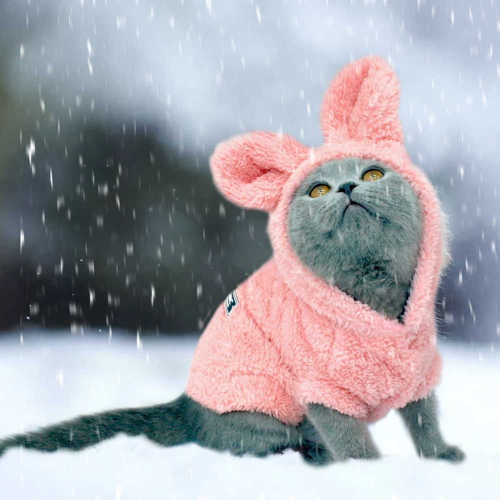Winter Coat Cat Clothes - Pink / S - Clothes for cats