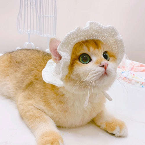 Winter Hats for Cats - White / S - Hat for Cats
