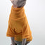 Winter Sphynx Cat Clothes - Yellow / XS - Clothes for cats