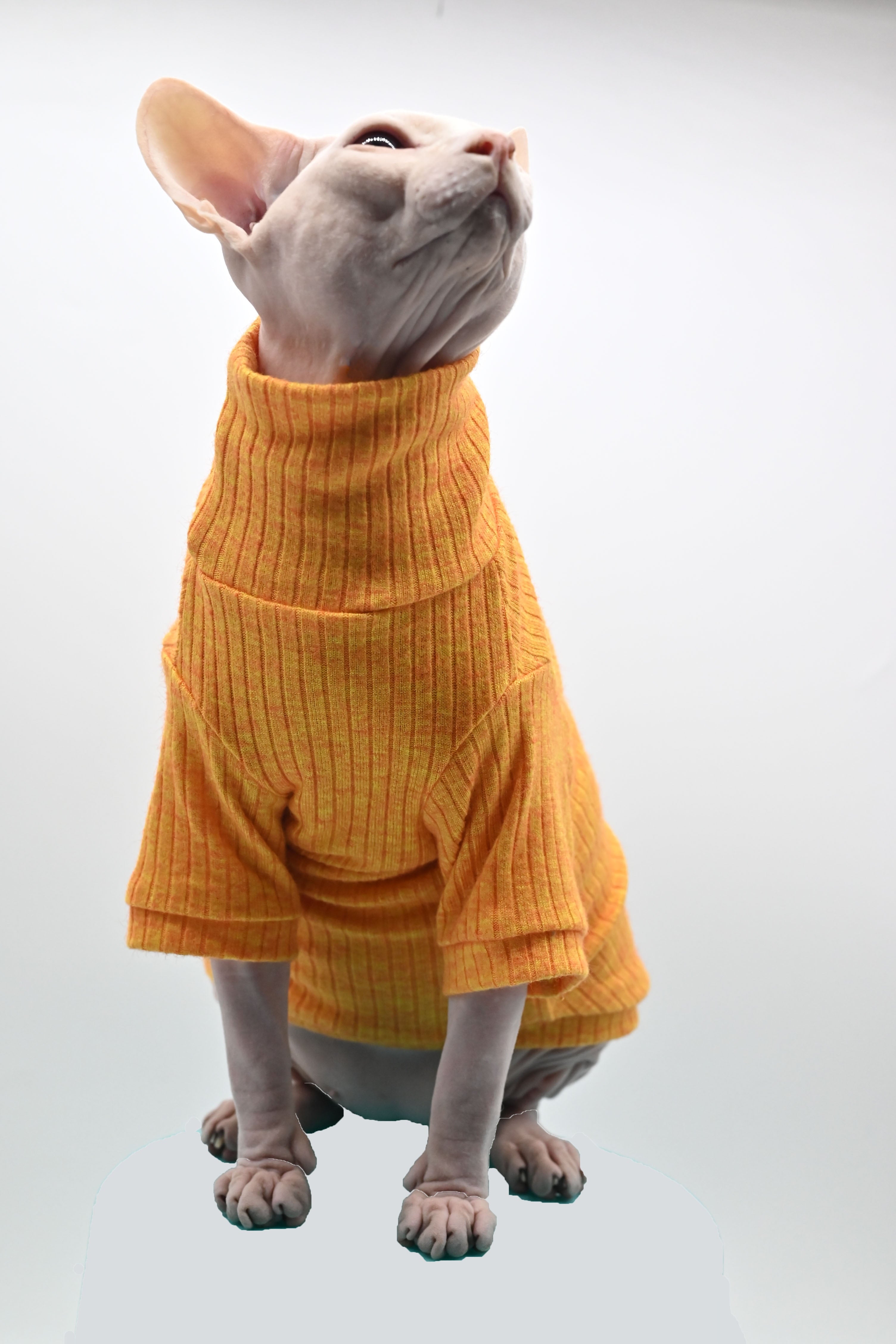 Winter Sphynx Cat Clothes - Yellow / XS - Clothes for cats