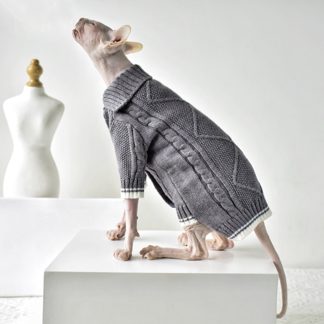 Winter Sphynx Cat Clothes - Clothes for cats