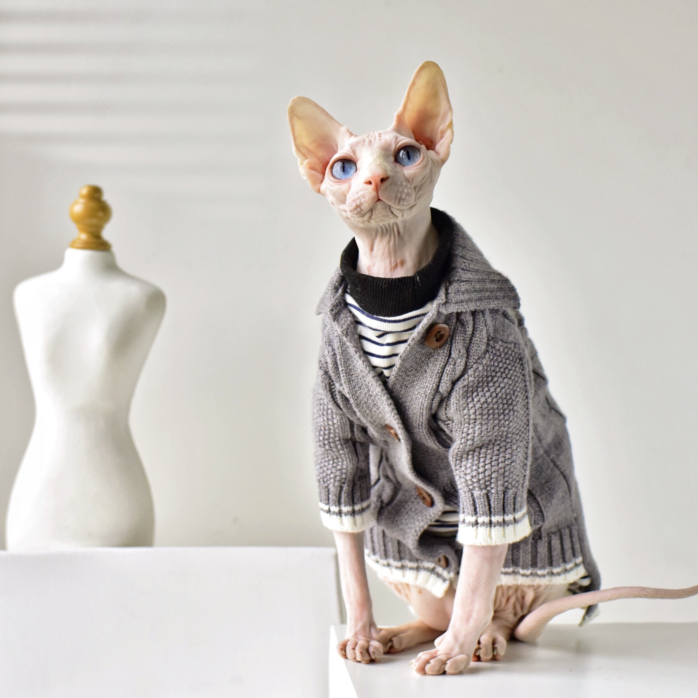 Winter Sphynx Cat Clothes - Clothes for cats