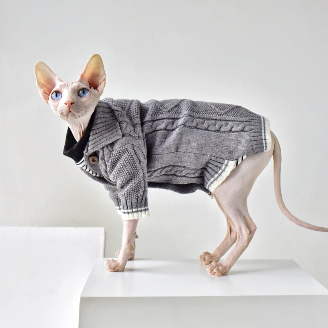 Winter Sphynx Cat Clothes - Clothes for cats
