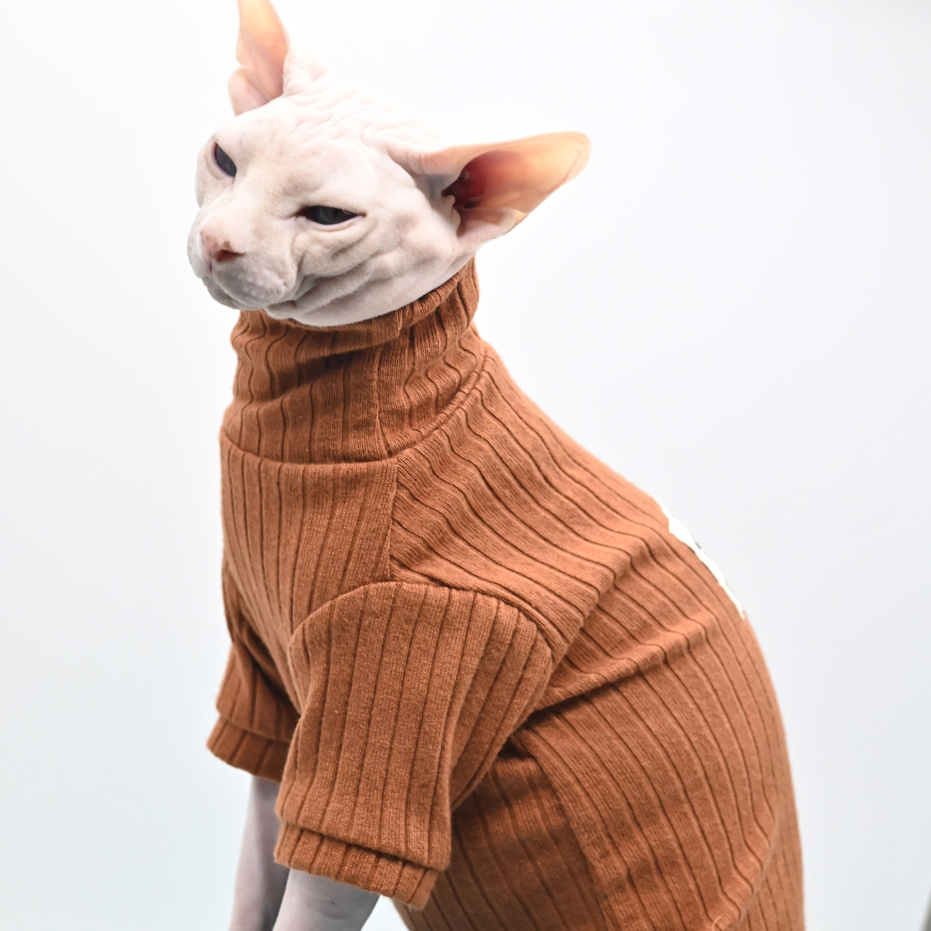Winter Sphynx Cat Clothes - Brown / XS - Clothes for cats