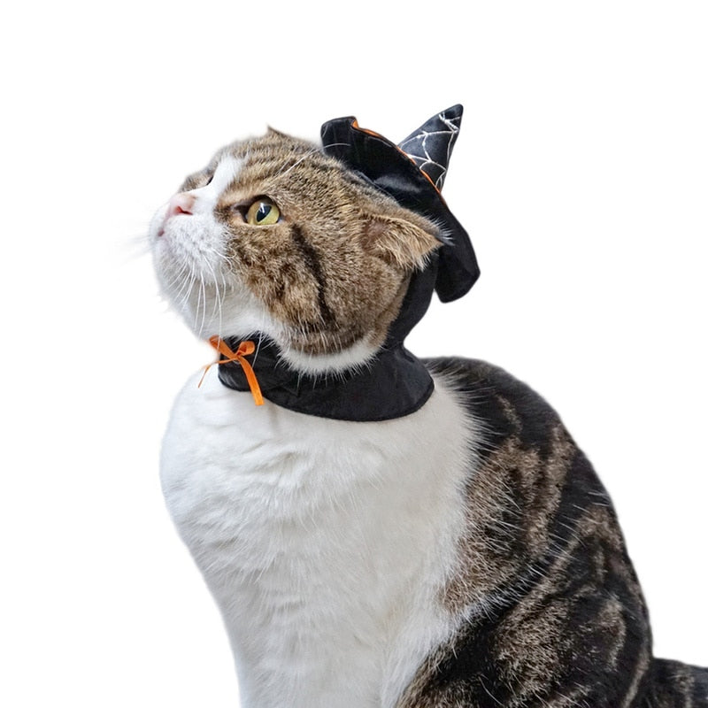 Witch Hat for Cat - Hat for Cats