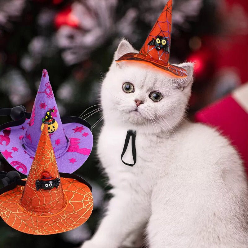 Wizard Hat for Cats - Hat for Cats