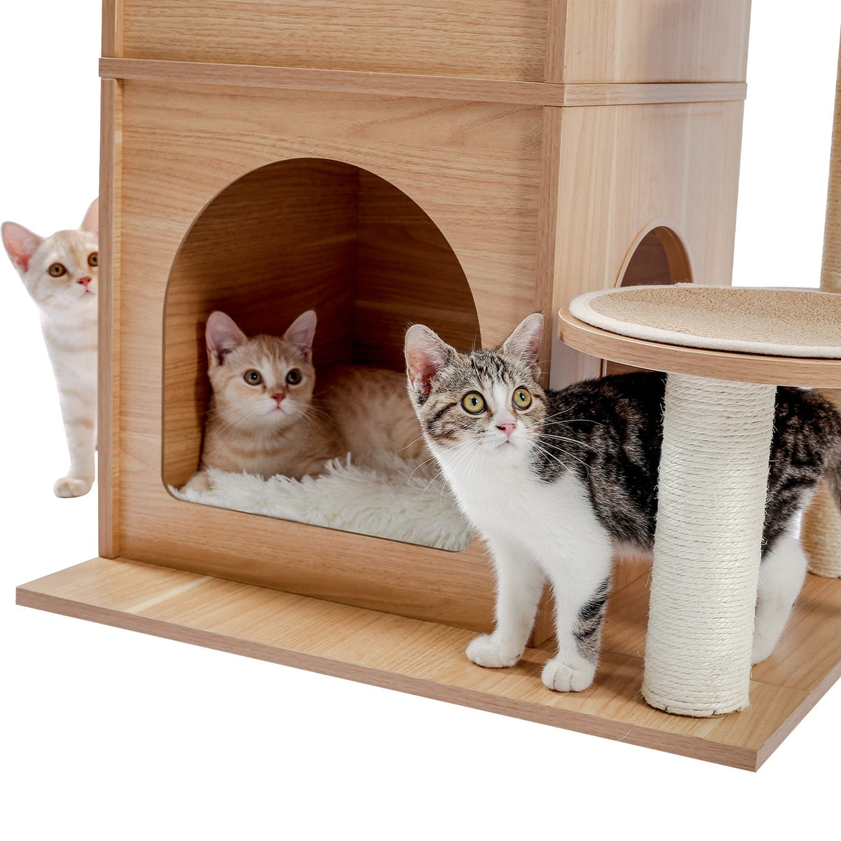 Wooden Cat Tree - Beige / United States