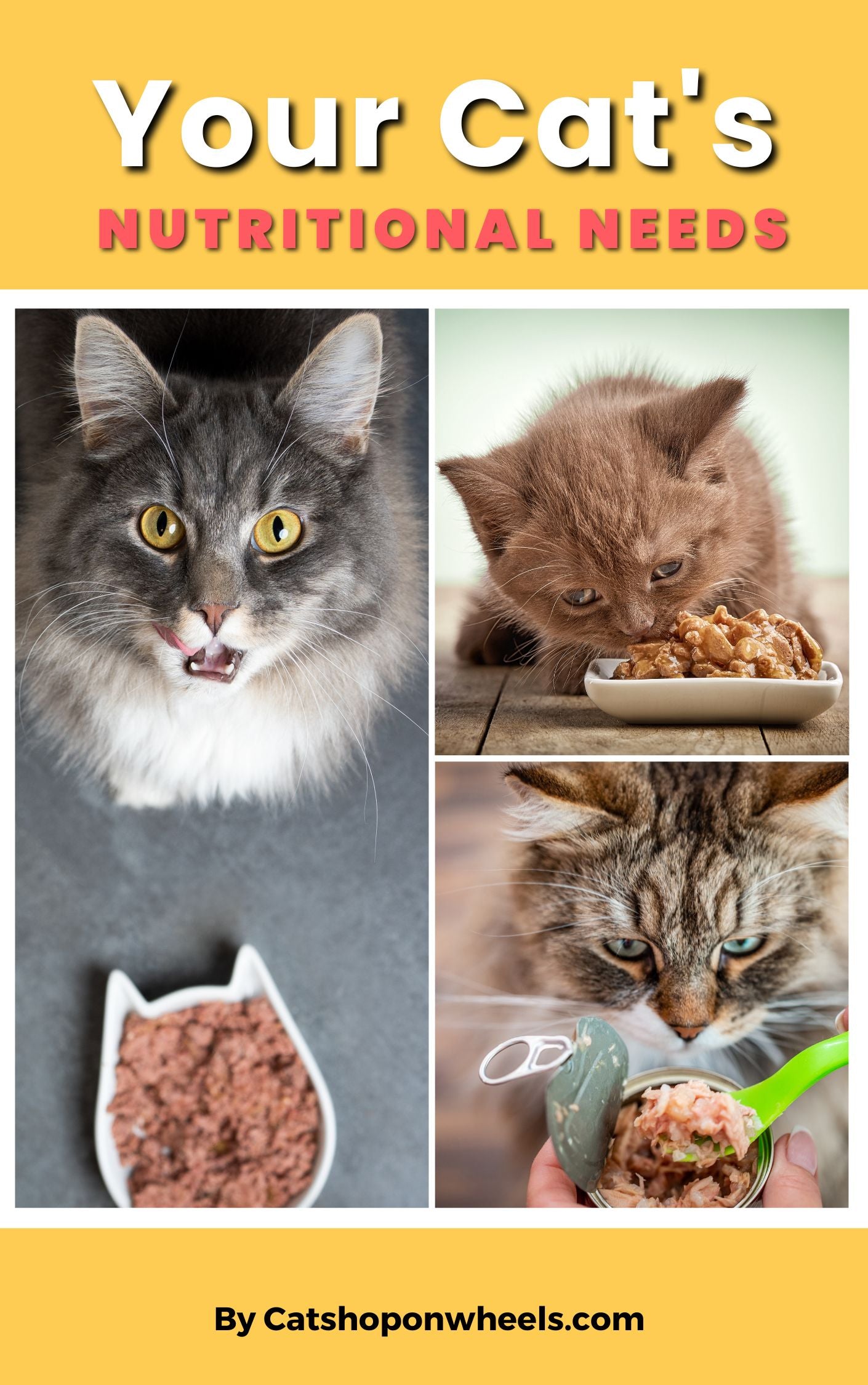 cat-nutritional-needs-book